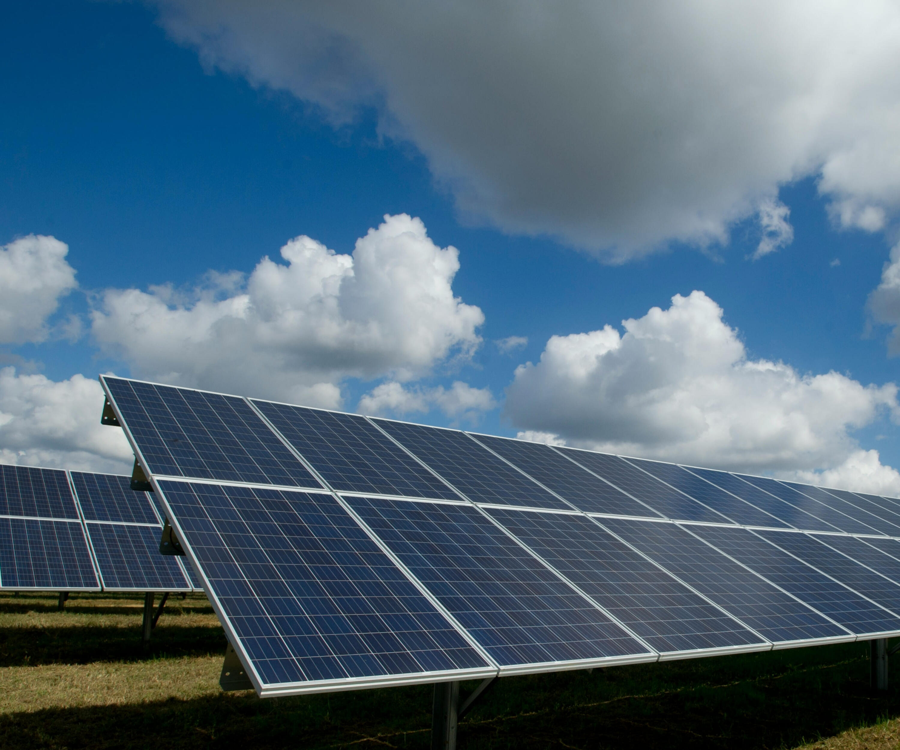 large solar panels tilted at a 45 degree angle towards the sky with grass and with a shadow cast below and a blue sky filled with puffy white clouds