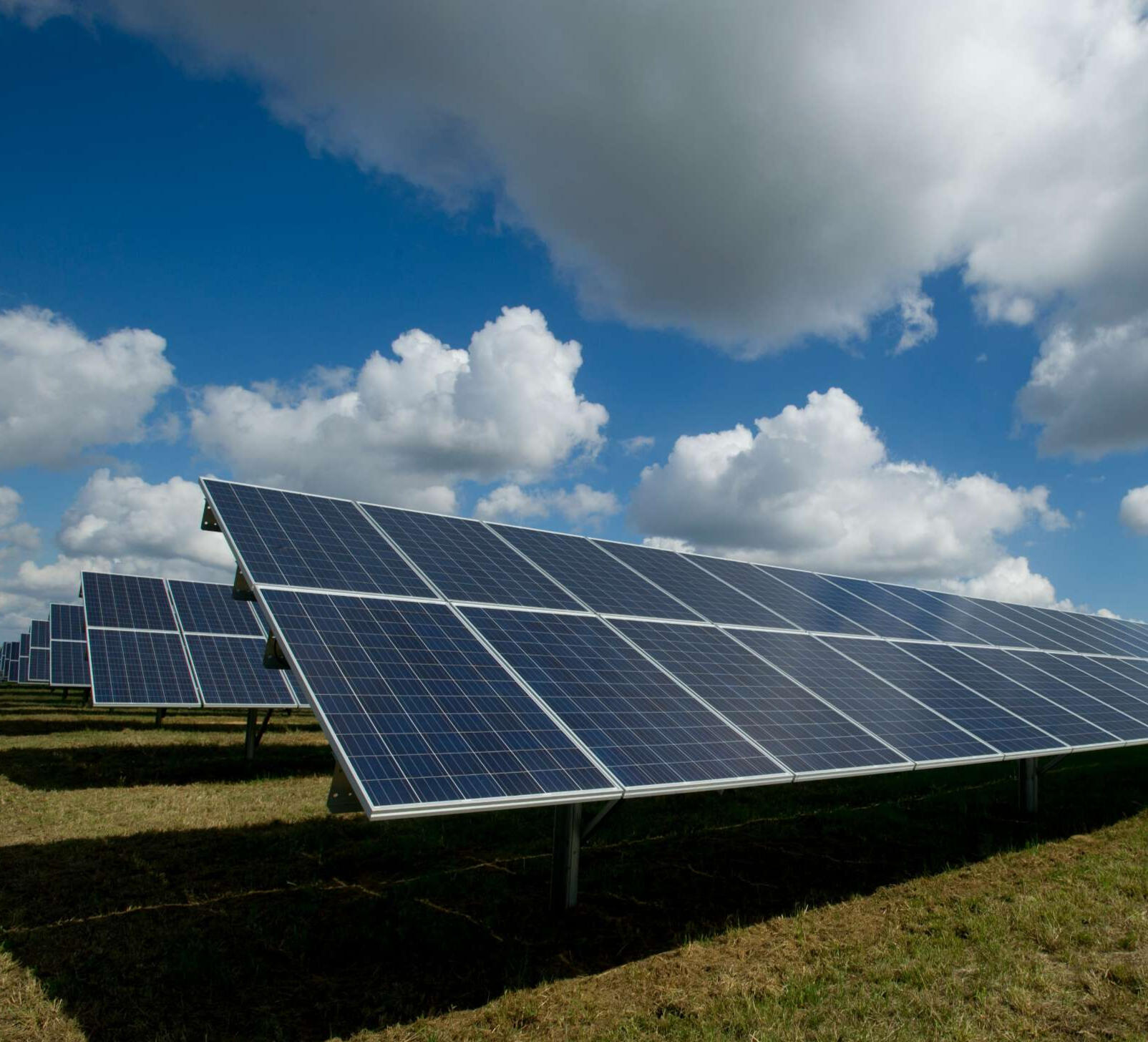 Solar panels large solar panels tilted at a 45 degree angle towards the sky with grass and with a shadow cast below and a blue sky filled with puffy white clouds